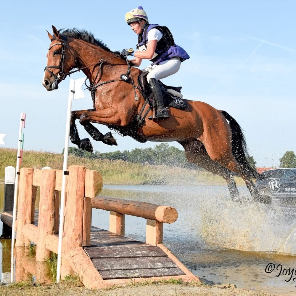 Customer jumping into water on her bay horse cross country