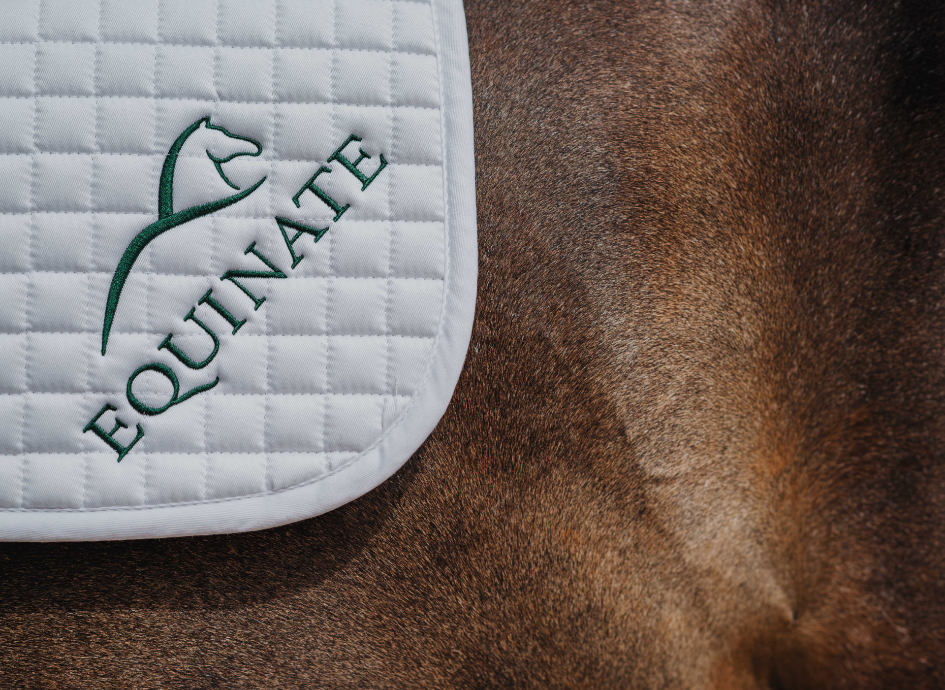 Equinate embroidered saddle pad on a horse