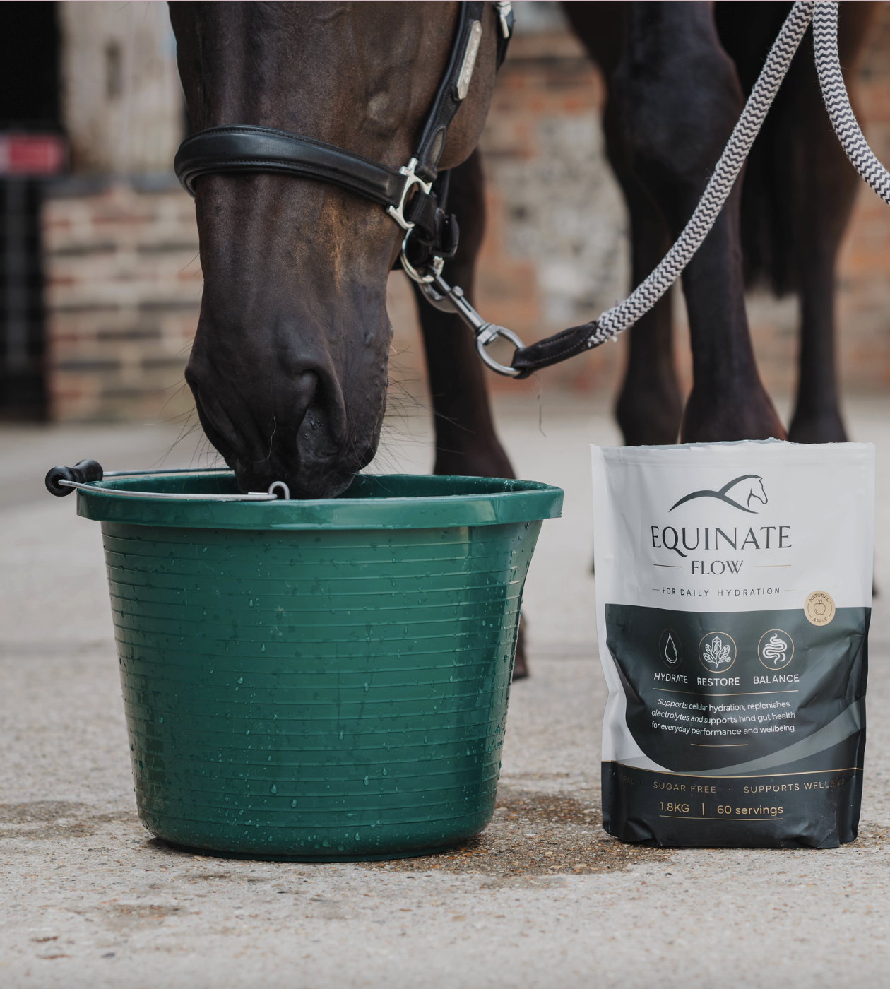 Horse drinking beside an Equinate Flow pouch