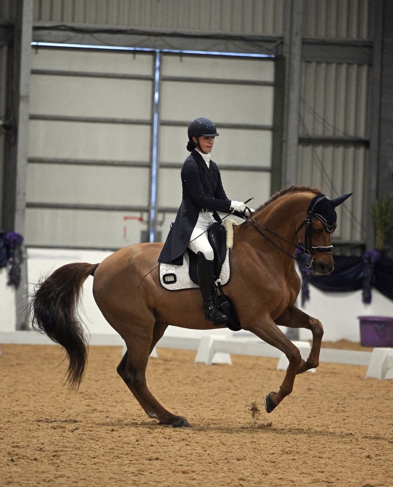 Customer riding dressage indoors