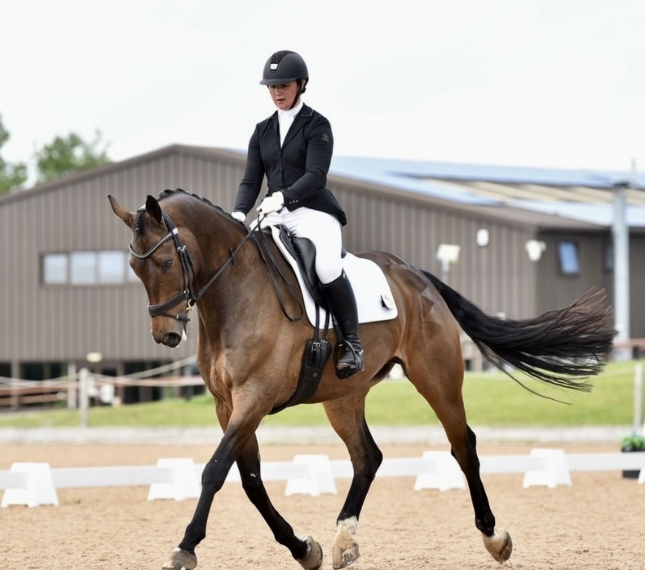 Customer riding dressage outdoors