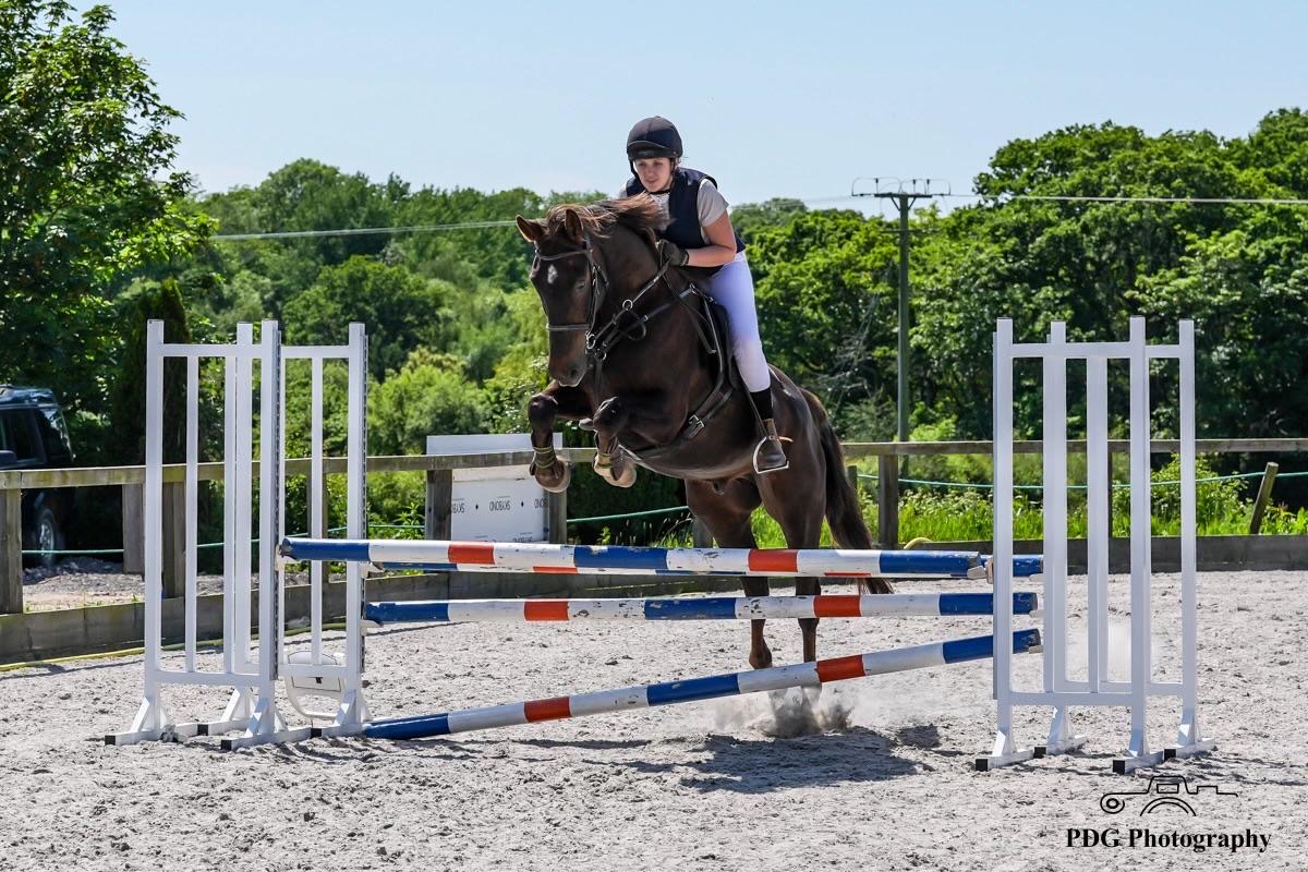 Customer show jumping her dark bay horse