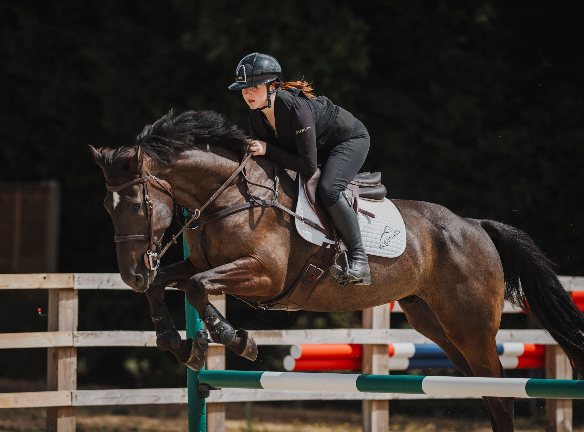 Rider and horse jumping a fence, wearing an Equinate saddle pad